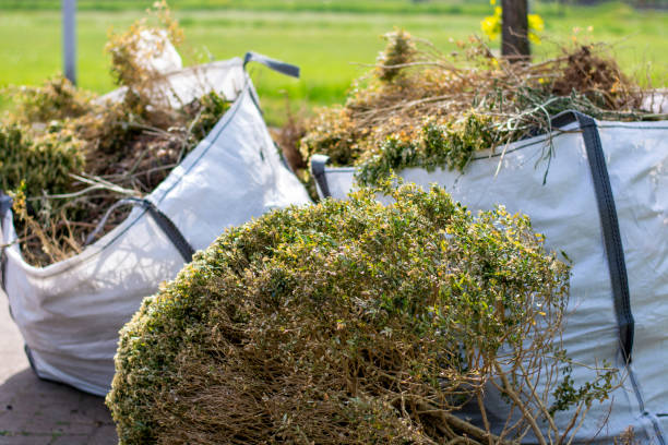 Best Yard Cleanup Services  in Pendleton, IN